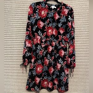 Ann Taylor Loft dress, beautiful lined dress with smocking and long sleeves.